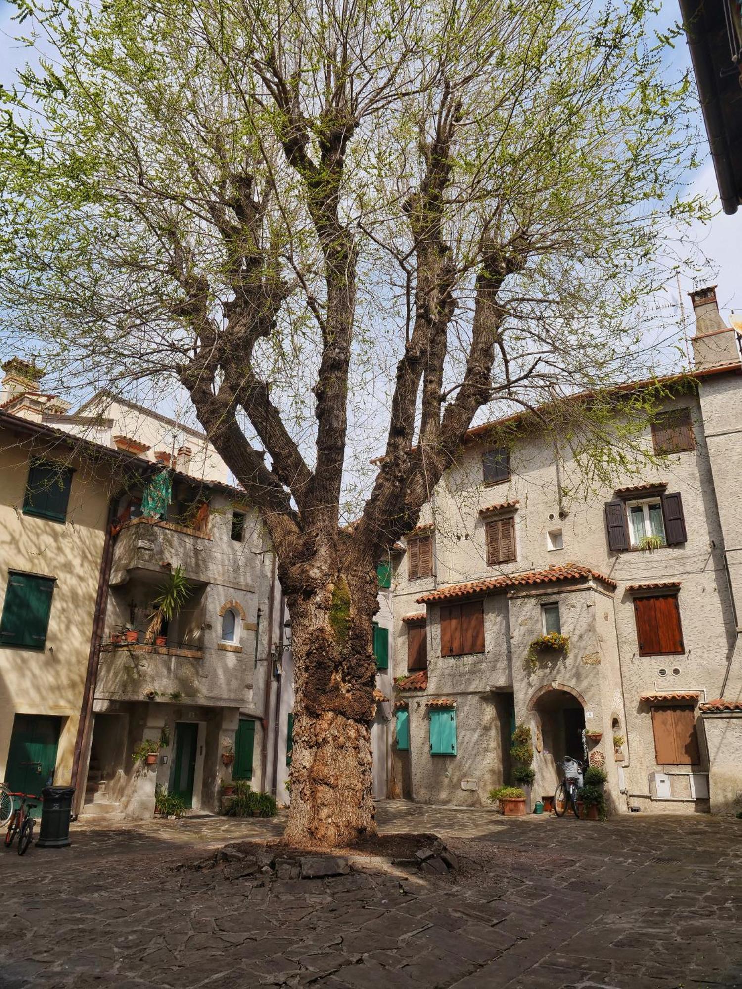 Casa Vianella - Romantico Monolocale Per Vivere Come Una Volta Grado Kültér fotó